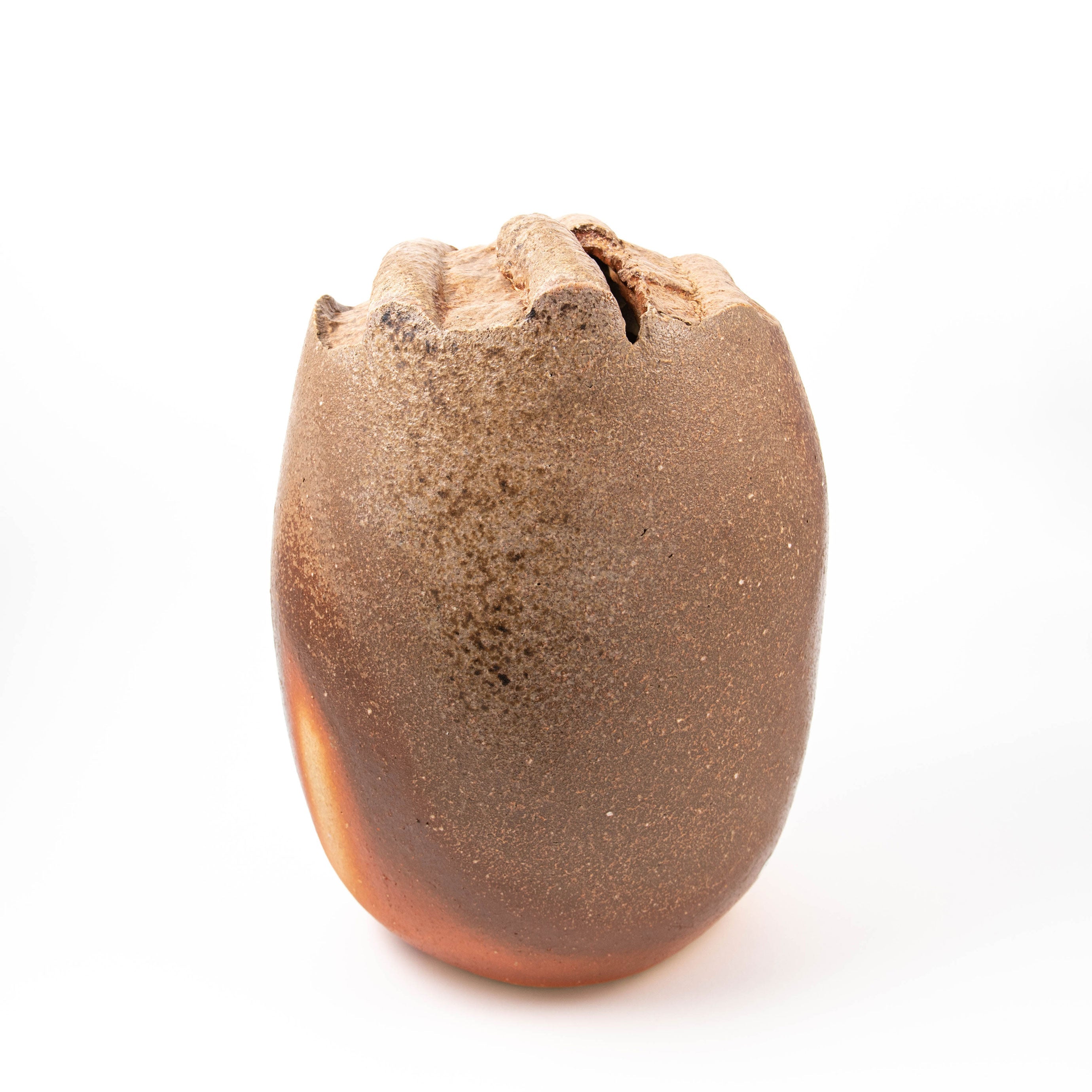 Vase Damon en frêne naturel – Céramique